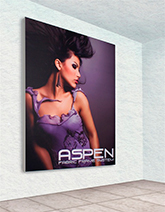 Aspen Fabric Frames